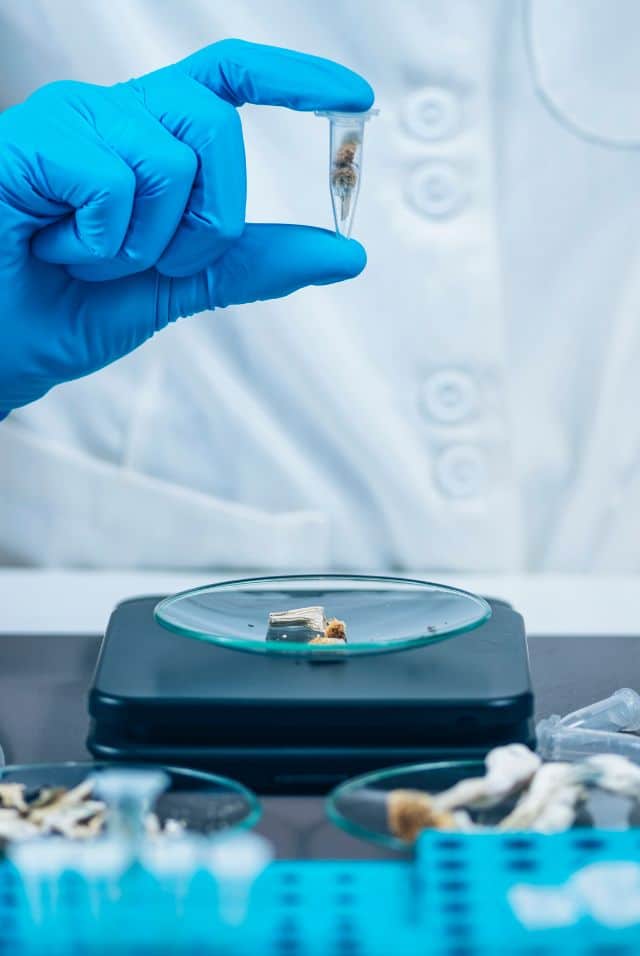 Microdosing Mushrooms Clinical Trials