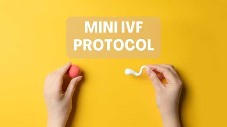 Mini IVF Protocol
