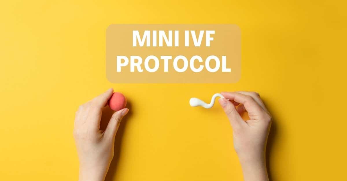 Mini IVF Protocol