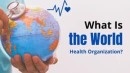 What Is the World Health Organization