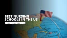 Best Nursing Schools in the US