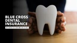 Blue Cross Dental Insurance