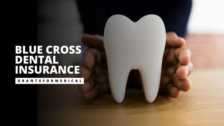Blue Cross Dental Insurance