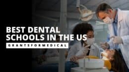 Best Dental Schools in the US