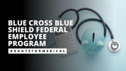 Blue Cross Blue Shield Federal Employee Program