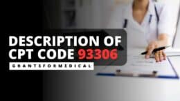 CPT code 93306