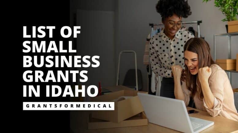 Small Business Grants in Idaho