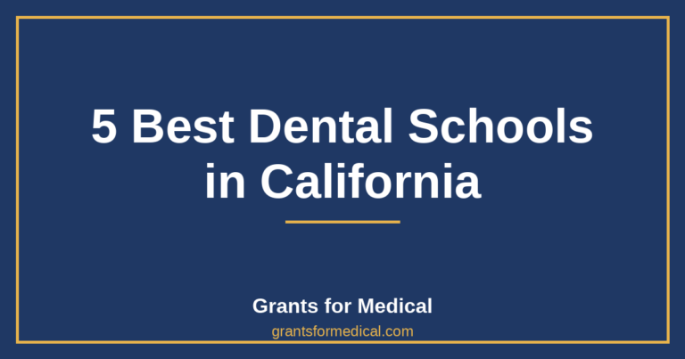 5 Best Dental Schools in California
