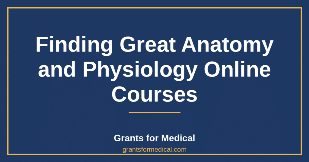 Finding Great Anatomy and Physiology Online Courses