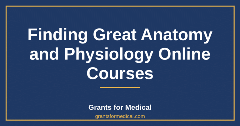 Finding Great Anatomy and Physiology Online Courses