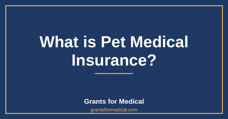 What is Pet Medical Insurance?