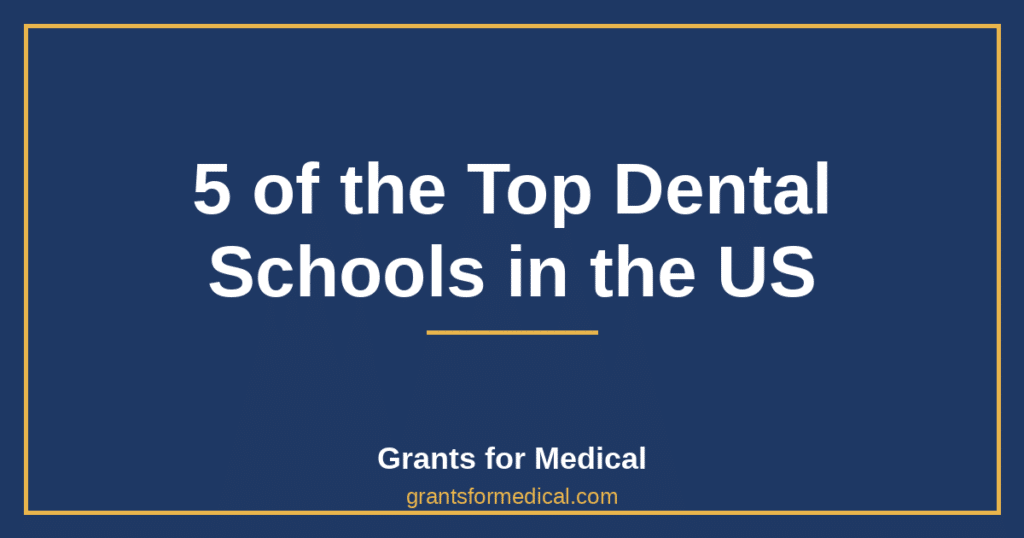 5 of the Top Dental Schools in the US