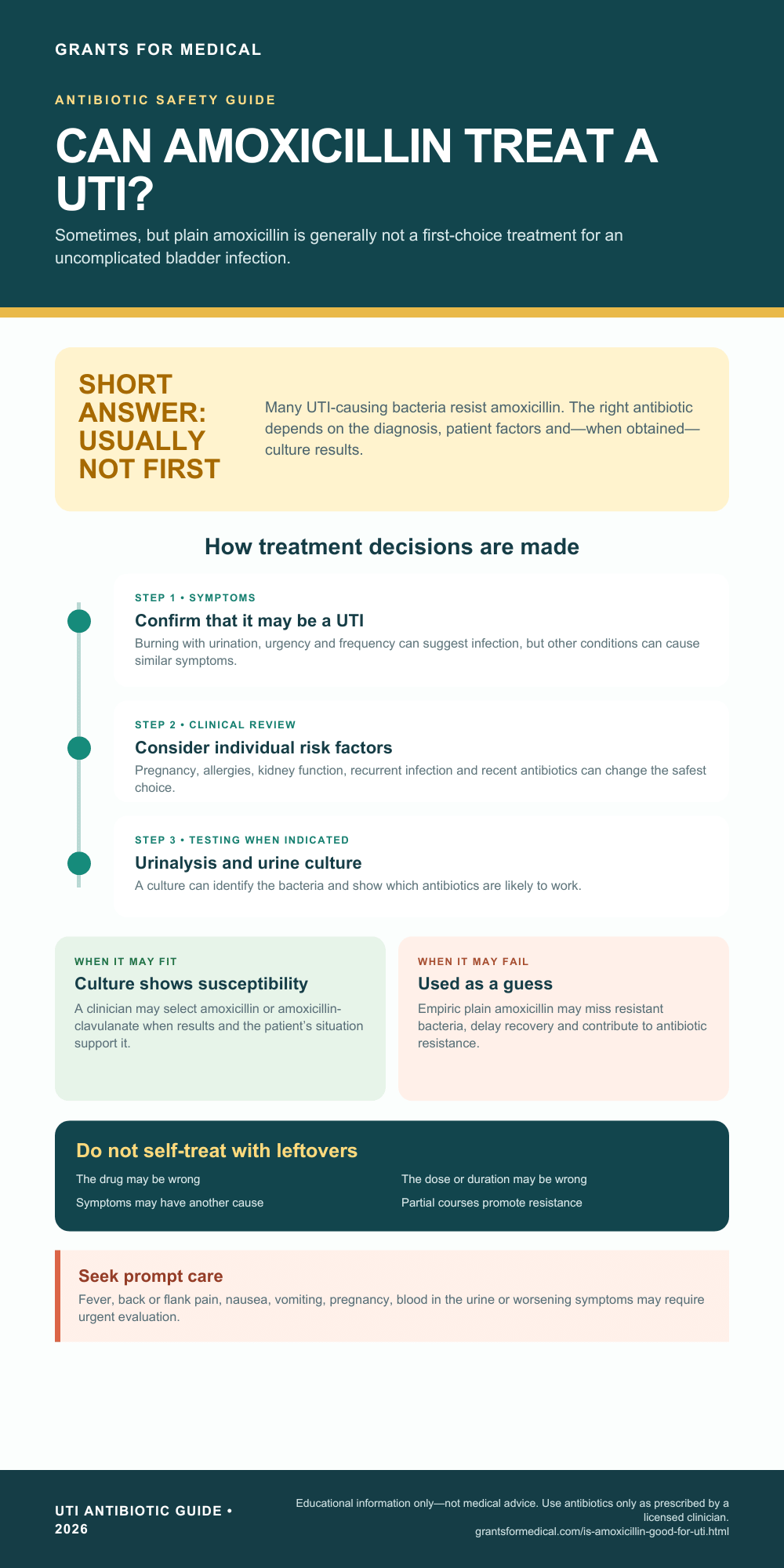 Is Amoxicillin Good for a UTI? What the Guidelines Say Can amoxicillin treat a UTI — antibiotic guidance infographic