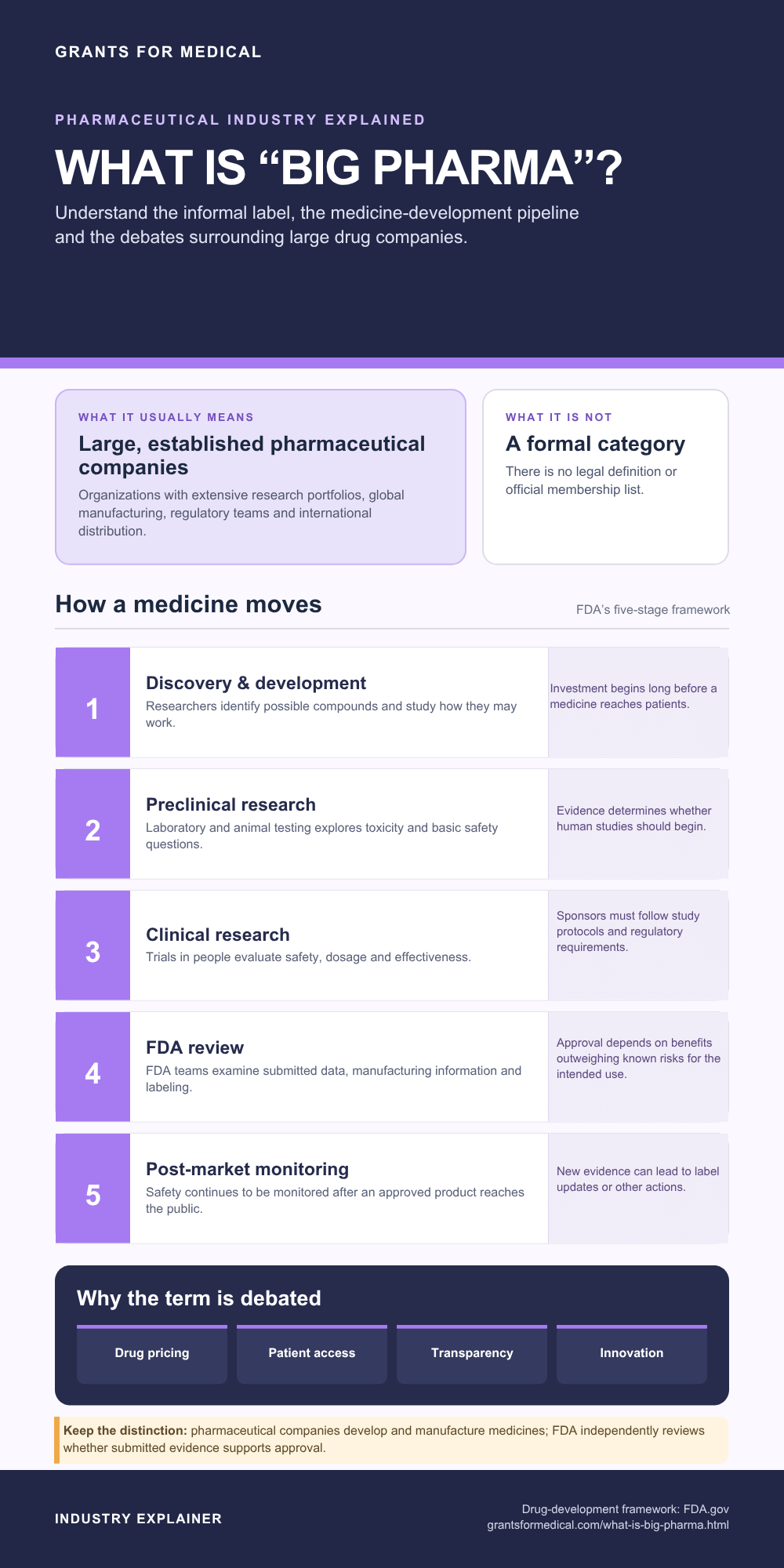 What Is 'Big Pharma'? What is Big Pharma, pharmaceutical industry explainer infographic